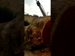 crosscut machine big logs slasher chain saw