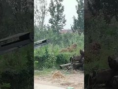 tree bark removing machine/wood log debarker