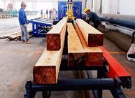 Twin Vertical Band Sawmill Machine,Log Cutting Twin Blade Vertical Saw Machine