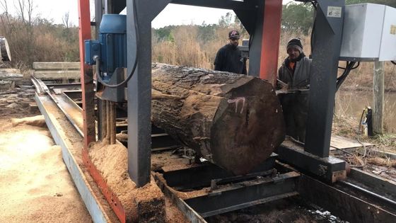 Large Sawn Wood Diameter 1500mm Wood Saw Machines Large Scale Chain Sawmill