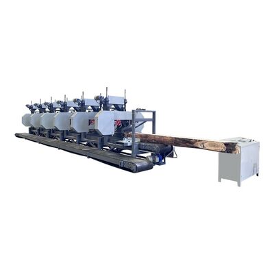 Multi-head Horizontal Resaws with 2 to 300mm Sawing Height and 700mm Saw Wheel Diameter