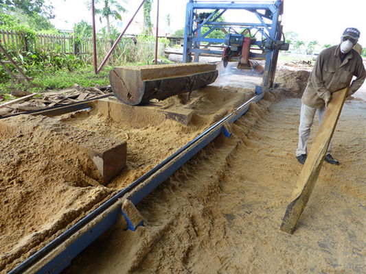 Square timber cutting Circular Sawmill, Swing Blade Circular Saw for hardwood logs cutting