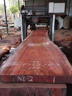 Horizontal Diesel Log Portable Band Sawmill for log, Wood Saw Machine for diameter 1600mm