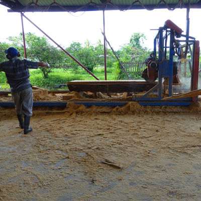 2000mm Angle Cutting Table Saw Mill Timber Wood Cutting Machine With Rails
