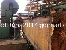 Big vertical band sawmill with CNC carriage automatic wood cutting machine