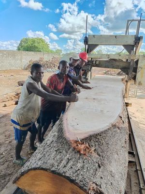 Portable Wood Cutting Band Saw Sawmill Horizontal Wood Band Saw Machine For Wood Working Band Saw For Cutting Wood