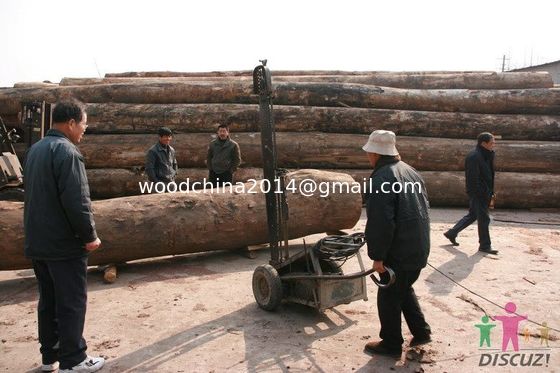 Portable wood slasher chainsaw mill,tree log cutting into shorter parts