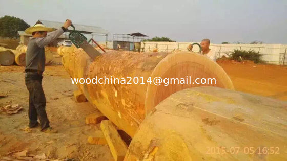 Electric Wood Saw Timber Cutting Chain Sawmill Saw Mill Portable