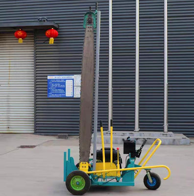 Portable Chainsaw Log Slasher Petrol Chain Saw Wood Cutting Machine
